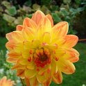 Picasa 2.7